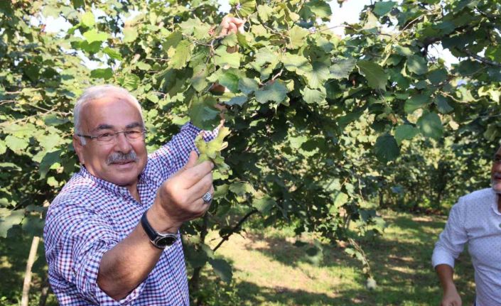 Ferrero’ya ’yasak’ geldi