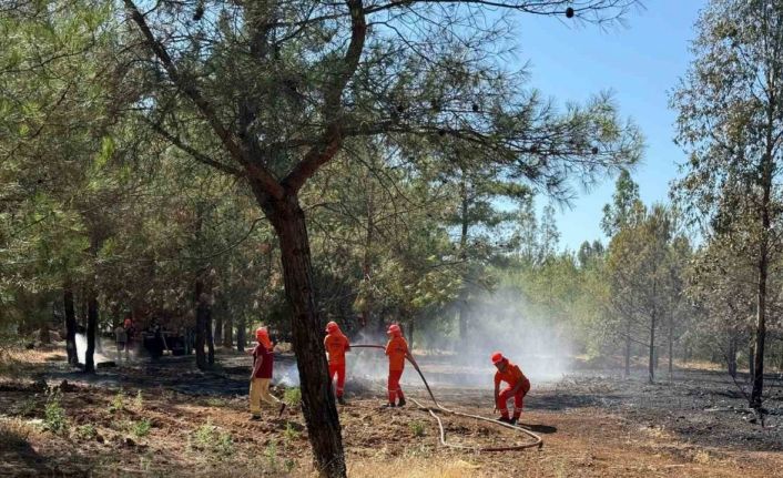 Fethiye’deki yangının etrafı çevrildi