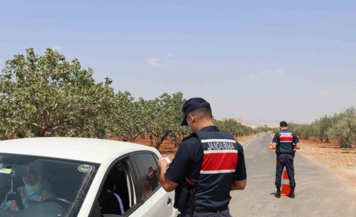 Fıstık hırsızlığına karşı jandarmadan sıkı denetim