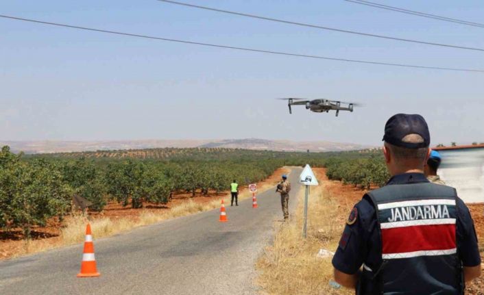 Gaziantep’te jandarma ekipleri ’yeşil altın’ için nöbette