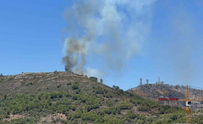 Gazipaşa’da ormanlık alandaki yangın kontrol altına alındı