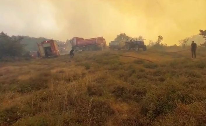 Gebze’deki orman yangınını söndürme çalışmaları sürüyor