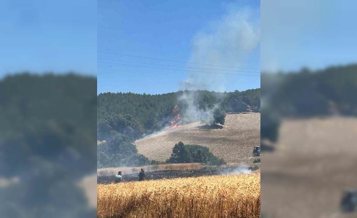 Gediz’de ekiplerin orman yangınıyla mücadelesi sürüyor
