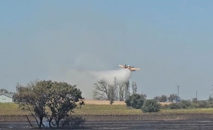 Gelibolu’da tarım arazisinde çıkan yangın kontrol altına alındı