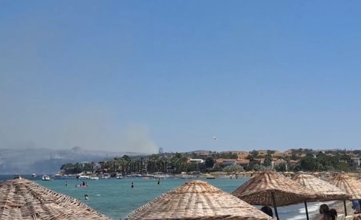 Gelibolu’da tarım arazisinde yangın