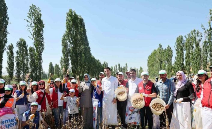 Gençler hasat etkinliği ile üretim süreçlerini yakından deneyimliyor