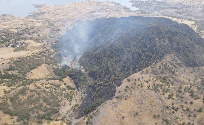 Gerger’deki orman yangını söndürüldü