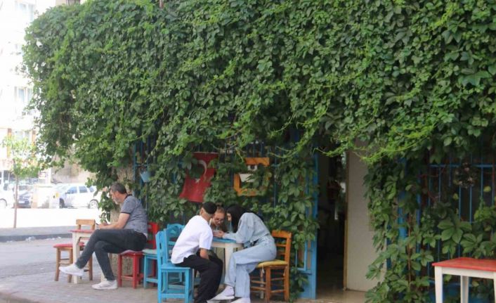 Gidenler bulmakta zorlanıyor, sarmaşık kaplı kafe dikkat çekiyor