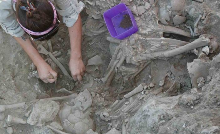 Gökçeada Uğurlu-Zeytinlik kazılarında tarım ve hayvancılığa dayalı ilk köy yerleşimi bulundu