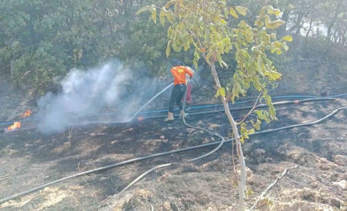 Gönen’de ormanlık alanda çıkan yangın söndürüldü