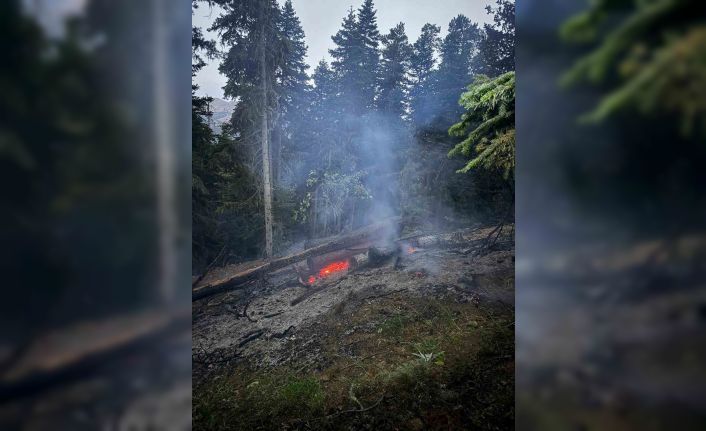 Gümüşhane’deki orman yangını söndürüldü
