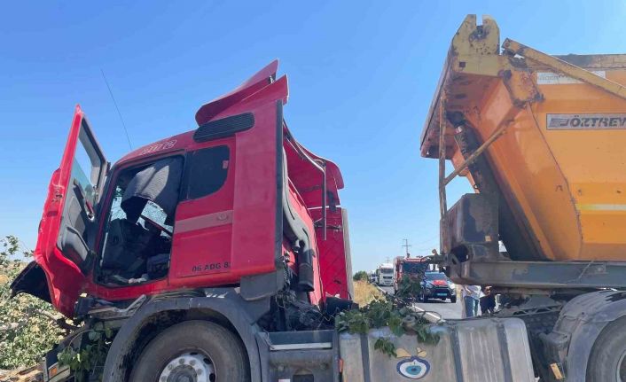 Hafriyat kamyonu ağaca çarptı: 2 yaralı