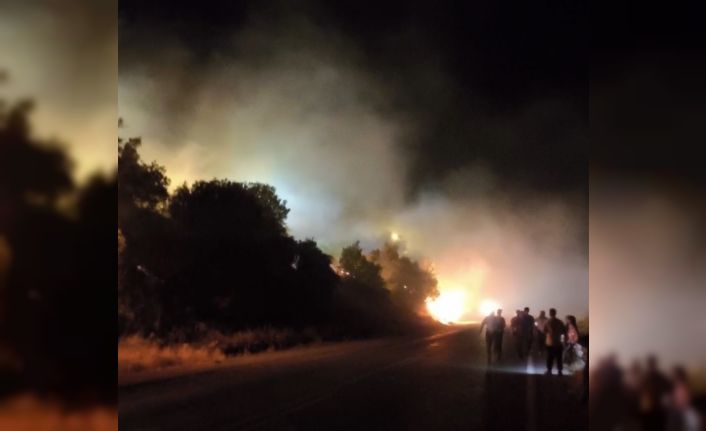 Hakkari-Çukurca karayolu üzerinde orman yangını çıktı