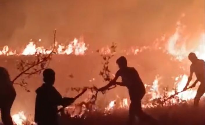 Hakkari-Van il sınırında arasında çıkan yangın korkuttu
