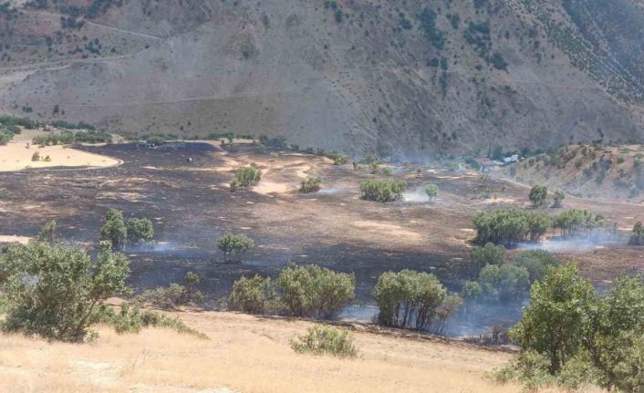 Hakkari’de anız yangını