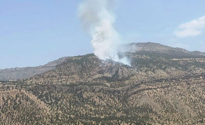 Hakkari’de orman yangını