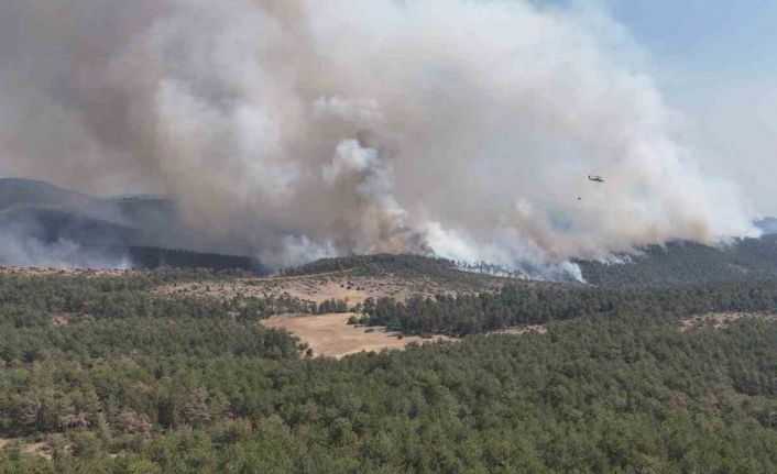 Harmancık Meyrandağı’ndaki yangın dronla böyle görüntülendi