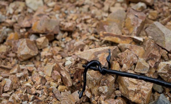 Harşit Çayı’na akaryakıt sızdıran meyve suyu fabrikasına 1,3 milyon TL ceza kesildi