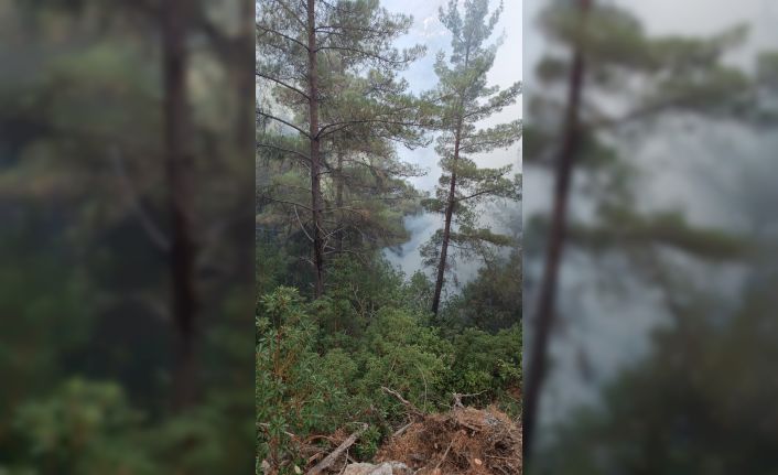 Hasanbeyli’de çıkan orman yangını kontrol altına alındı