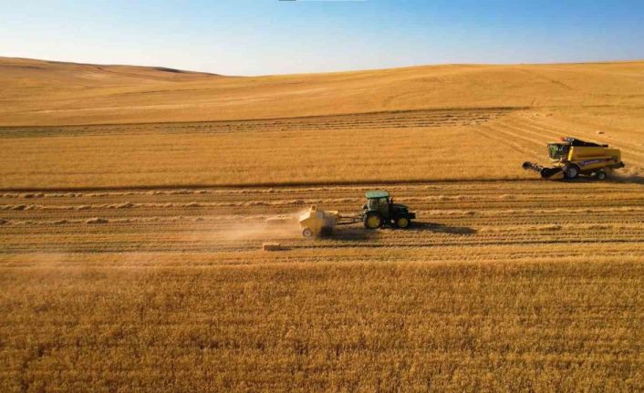 Hasatta hem kuraklık hem yangın riski: Çiftçiye çifte uyarı