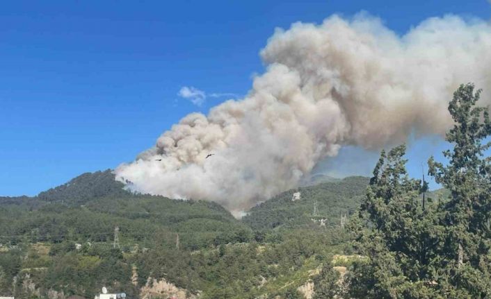 Hatay’da orman yangını