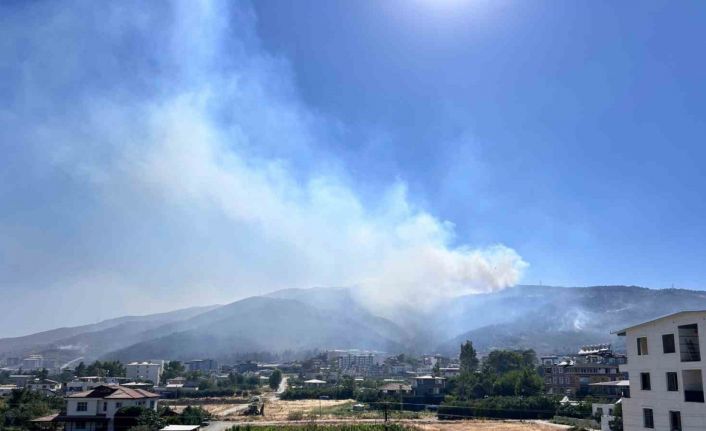 Hatay’daki orman yangını 30 saattir devam ediyor