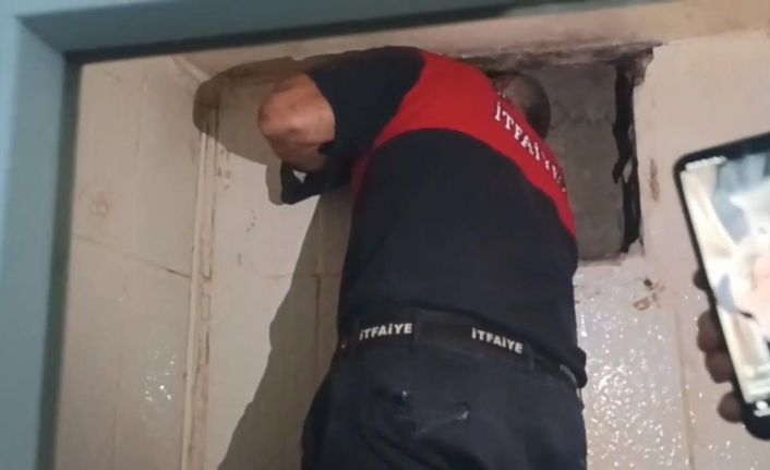 Havalandırma boşluğunda mahsur kalan yavru kedi kurtarıldı