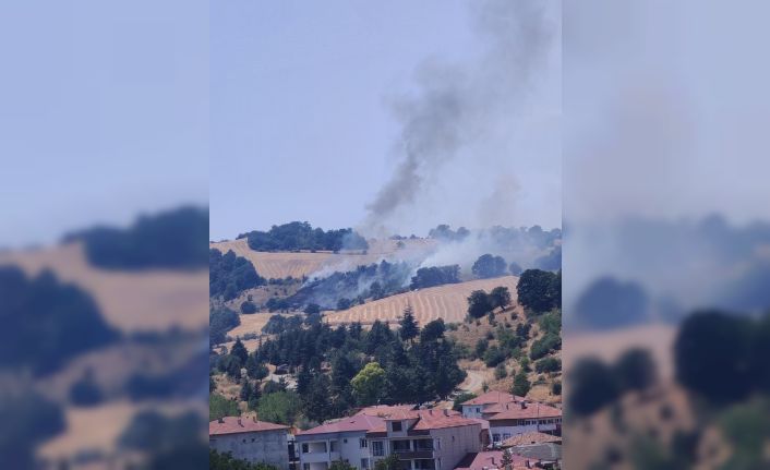 Havza’da anız yangını ormana sıçradı