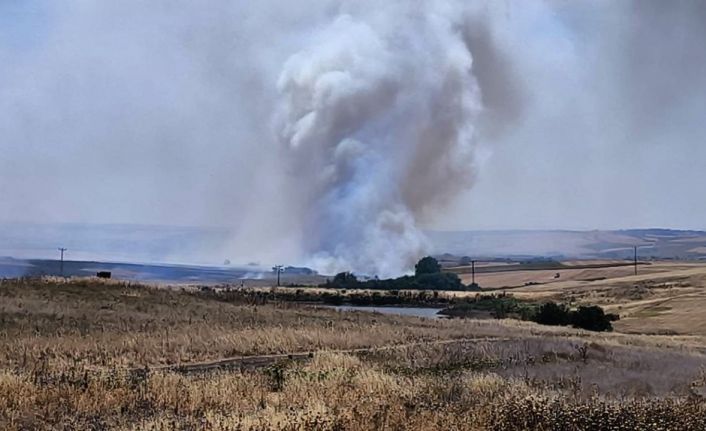 Hayrabolu’da çıkan anız yangını söndürüldü