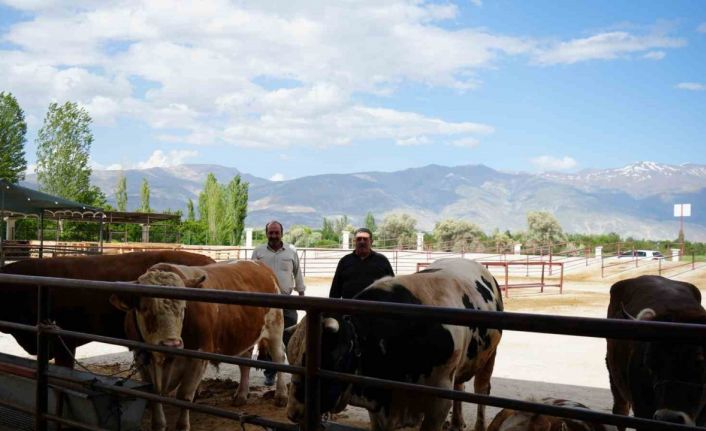 Hayvan pazarı geçici süreyle kapatıldı