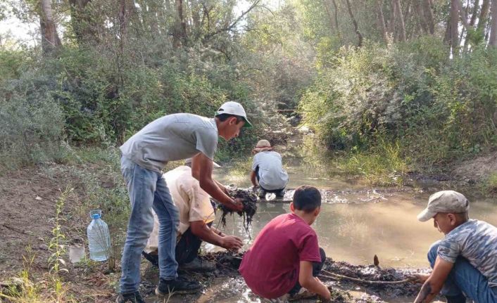 Hayvanları su içebilsin diye elleriyle mini gölet yaptılar