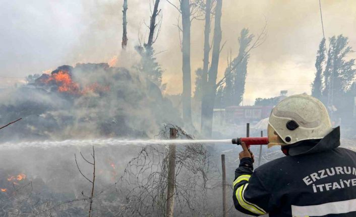 Hınıs’ta ot yangını
