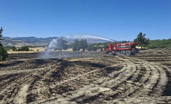 Hisarcık’ta biçerdöverden kaynaklanan yangın 30 dekar alanı kül etti