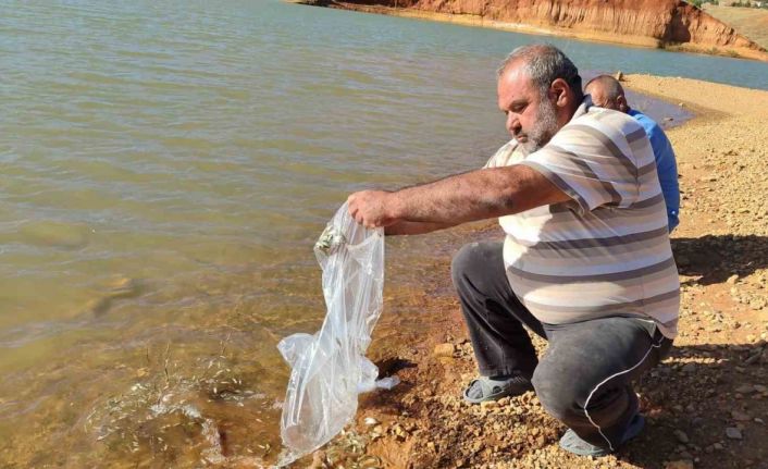 Hüyük’te göletler balıklandırıldı