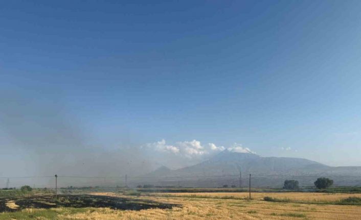 Iğdır’da çıkan anız yangını gün boyu sürdü