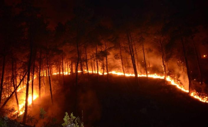 ’’İklim değişikliği yangın riskini ve zararını artırdı’’