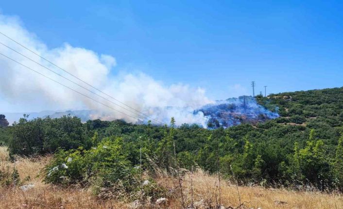 İnegöl’deki orman yangını kontrol altına alındı
