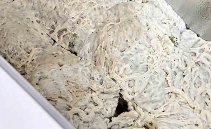 İşkembe görünümlü zula ekipleri şaşırttı