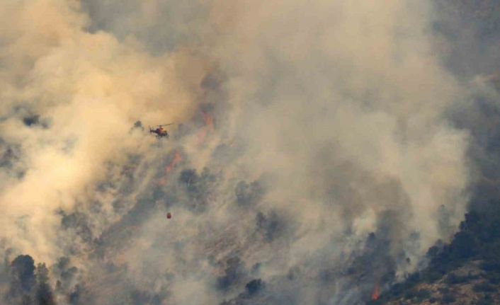 İspanya’da orman yangını: 2 bin 377 hektarlık alan yandı