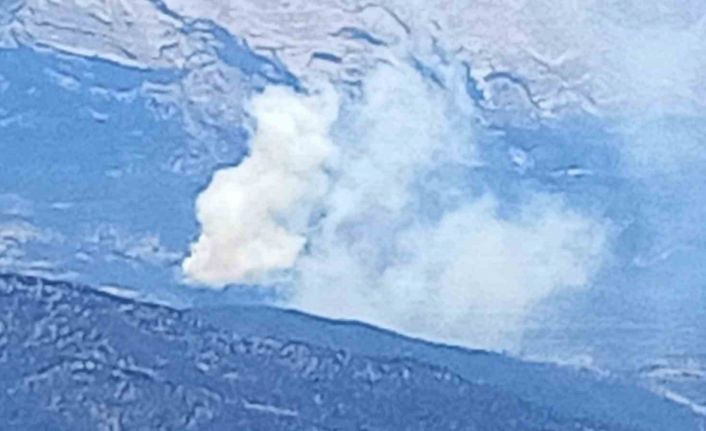 Isparta’da ormanlık alanda yangın