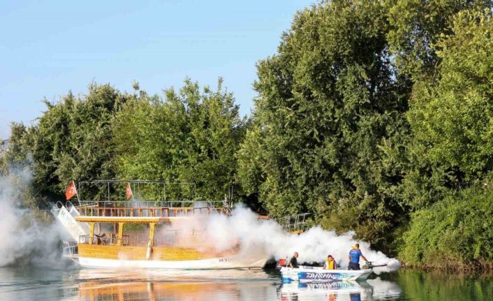 İstilacı tür olarak biliniyor, yumurtaları altı ay kuraklığa dayanabiliyor