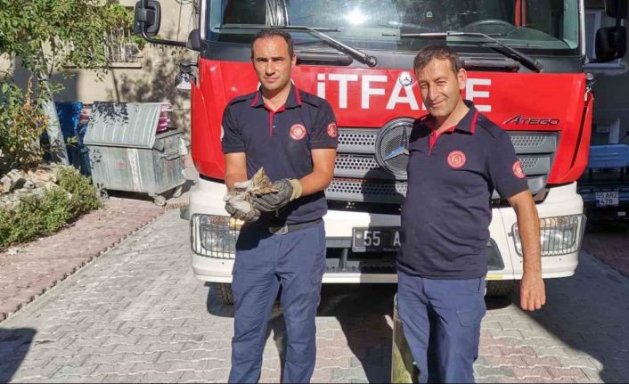 İtfaiye ekiplerinden yavru kedi kurtarma operasyonu