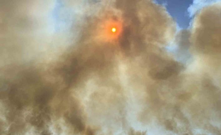 İzmir’de alevlerin yaklaştığı mahalle tahliye edildi