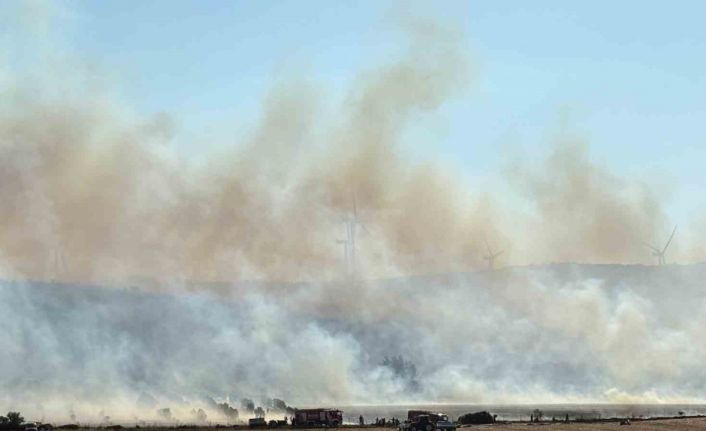 İzmir’de makilik alanda çıkan yangına müdahale devam ediyor