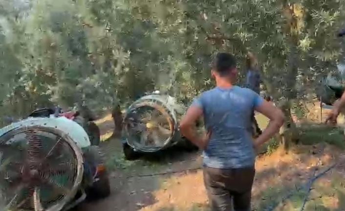 İznik’te çıkan yangın kontrol altına alındı