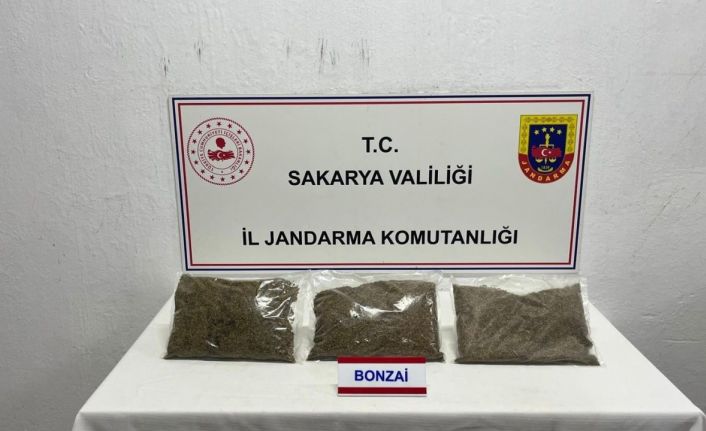 Jandarma uyuşturucuya geçit vermiyor: 1 tutuklama