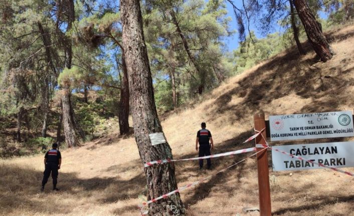 Jandarmadan ‘orman’ nöbeti