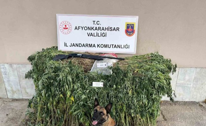 Jandarmadan uyuşturucu operasyonu: 2 gözaltı