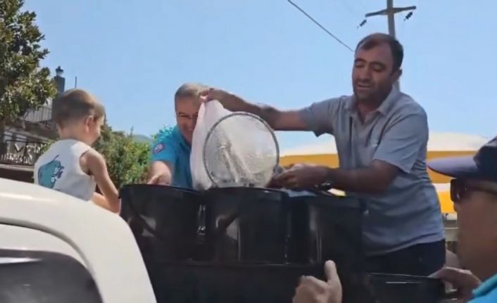 Kadın azmağına 35 bin levrek yavrusu bırakıldı