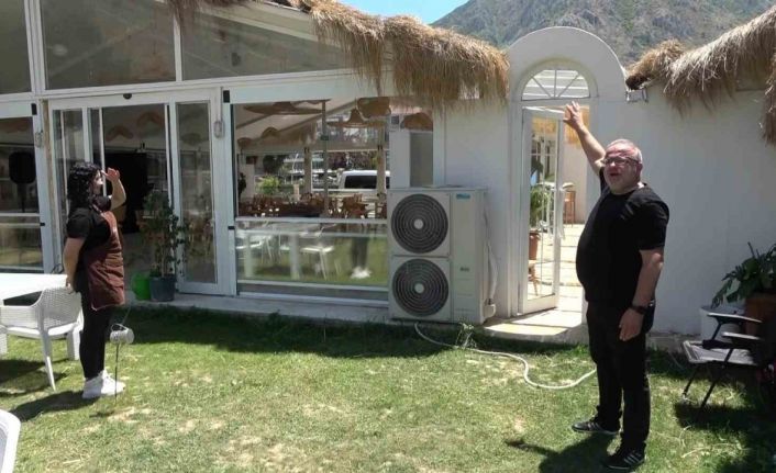 Kafeteryanın çatısına çıkan tilki kamerada